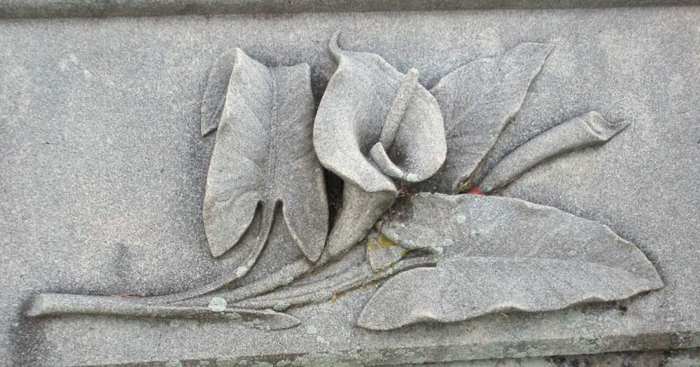calla
